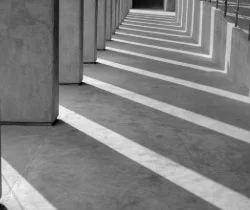 Gray concrete pillars